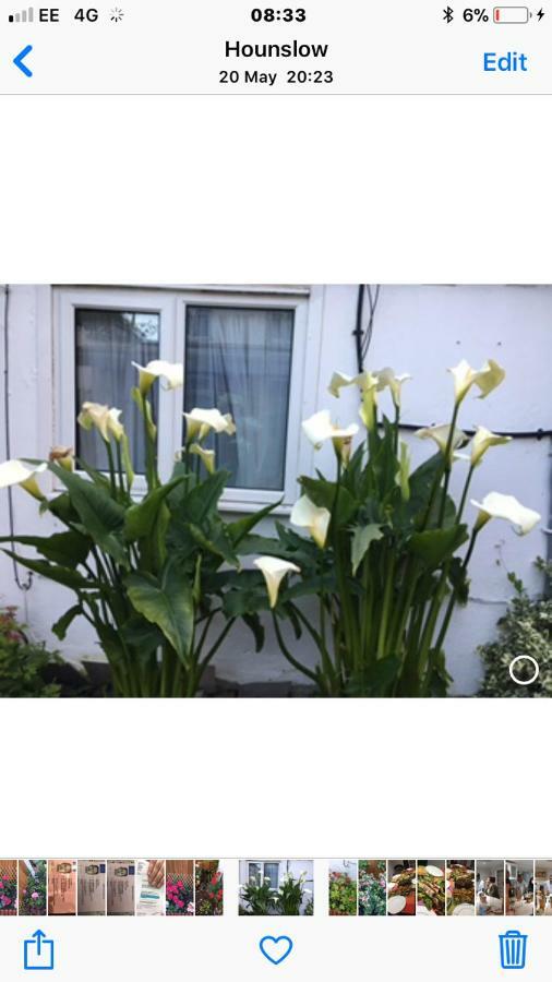 Apartamento House Hounslow Exterior foto